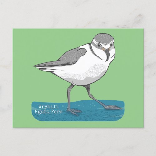Wrybill New Zealand Bird Postcard