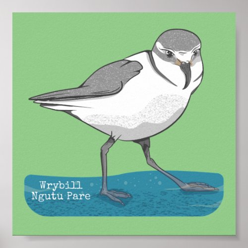 Wrybill New Zealand Bird Poster