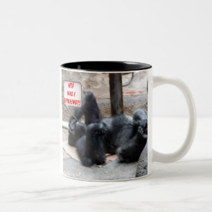 "WTF WAS I THINKING"- hangover mug