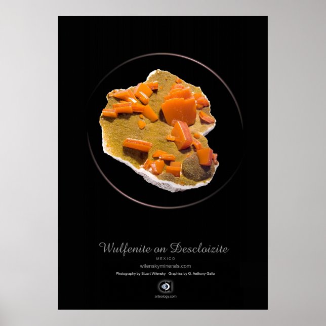 WULFENITE POSTER (Front)