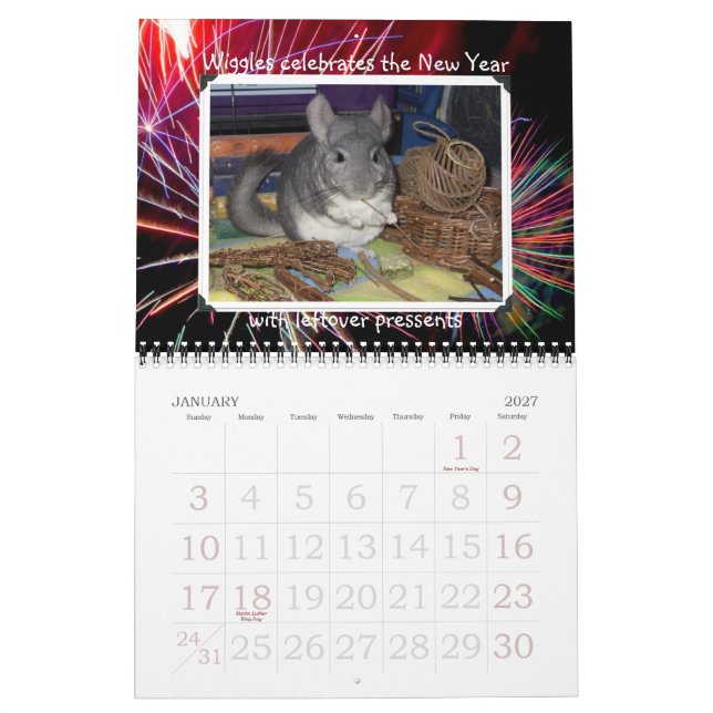 Wunderchins 2012 calendar (Jan 2027)