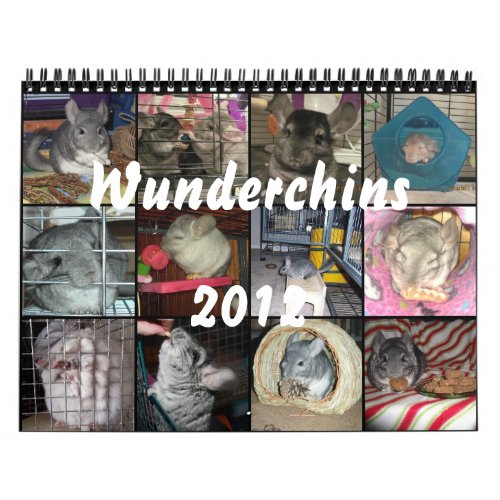 Wunderchins 2012 calendar