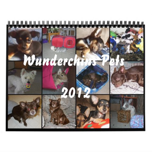 Wunderchins Pets 2012 calendar