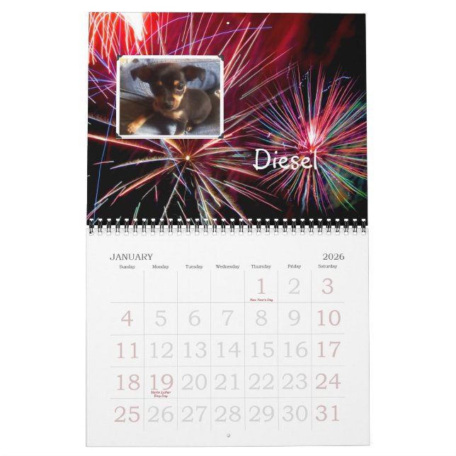 Wunderchins Pets 2012 calendar (Jan 2026)