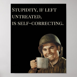 WW2 Army Guy Fab Funny Stupidity Poster