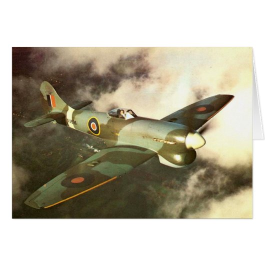 WW2 Historic Wartime Aircraft in Flight (Front Horizontal)