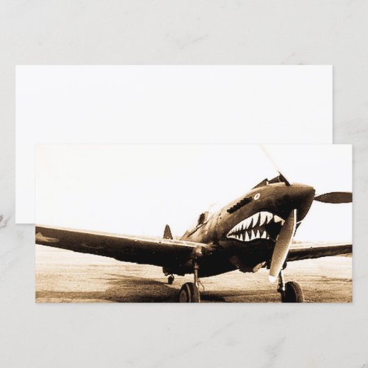 WWII Flying Tigers Curtiss P-40 Fighter Plane (Front/Back)