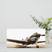 WWII Flying Tigers Curtiss P-40 Fighter Plane (Standing Front)