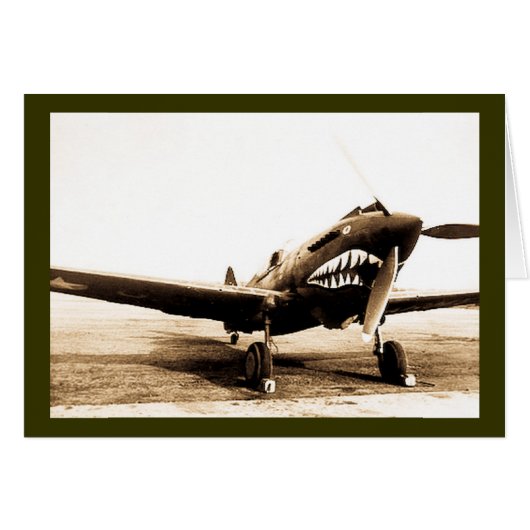 WWII Flying Tigers Curtiss P-40 Fighter Plane (Front Horizontal)