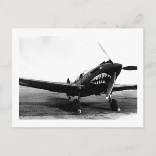WWII Flying Tigers Curtiss P-40 Fighter Plane Postcard