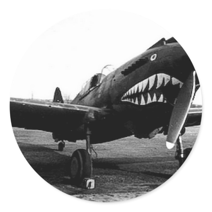 WWII Flying Tigers Curtiss P 40 Fighter Plane Stickers