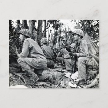 Wwii Us Marines On Peleliu Postcard by historicimage at Zazzle