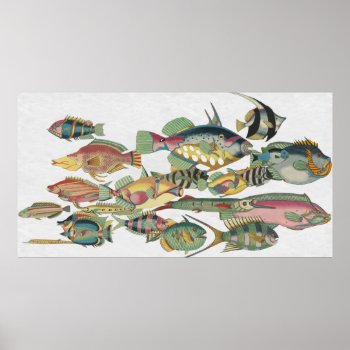 Www Fish Poster by OldArtReborn at Zazzle