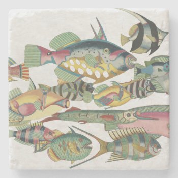 Www Fish Stoneware Stone Coaster by OldArtReborn at Zazzle