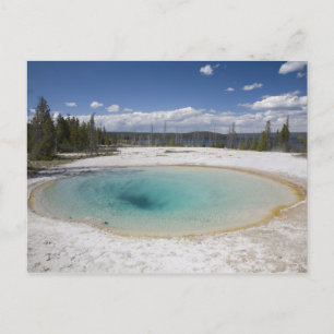 WY, Yellowstone National Park, West Thumb Geyser Postcard