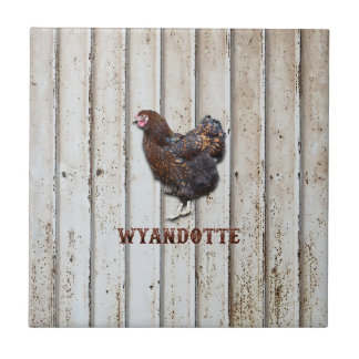 Wyandotte Chicken Ceramic Tile