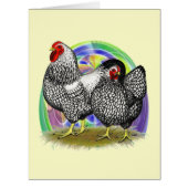 Wyandotte:  Easter Egg Pair (Front)