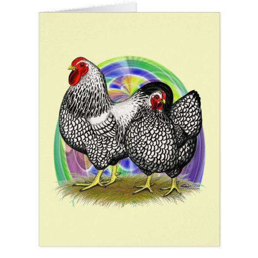 Wyandotte:  Easter Egg Pair (Front)