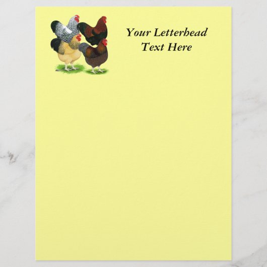 Wyandotte: Rooster Assortment (Front)
