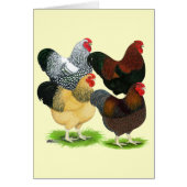 Wyandotte:  Rooster Assortment (Front)