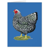 Wyandotte:  Silver-laced Hen (Front)