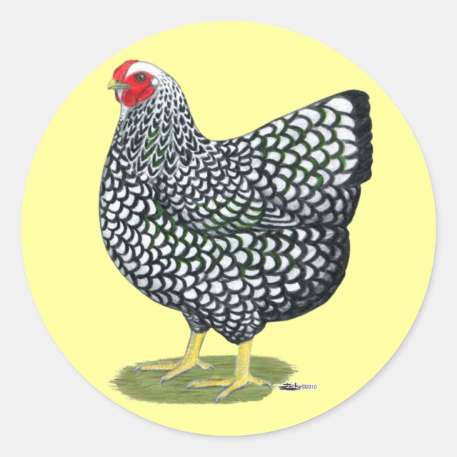 Wyandotte:  Silver-laced Hen Classic Round Sticker (Front)