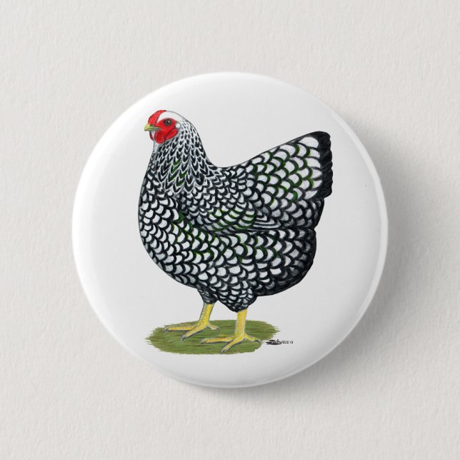 Wyandotte:  Silver-laced Hen Pinback Button (Front)