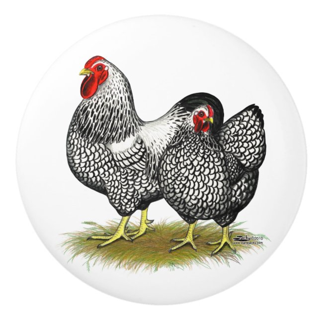 Wyandotte:  Silver Pair Ceramic Knob (Front)