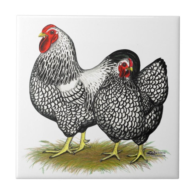 Wyandotte:  Silver Pair Ceramic Tile (Front)