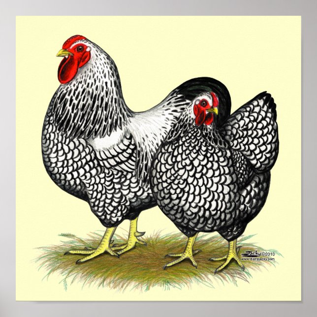 Wyandotte:  Silver Pair Poster (Front)