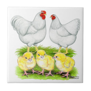 Wyandotte White Chicken Family Ceramic Tile
