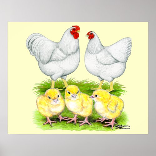 Wyandotte White Chicken Family Poster