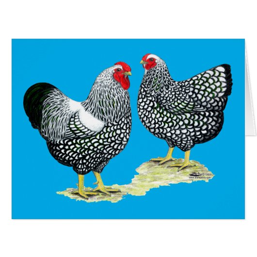 Wyandottes Silver-laced Pair (Front Horizontal)