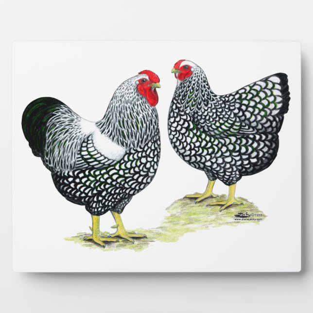 Wyandottes Silver-laced Pair Plaque (Front)