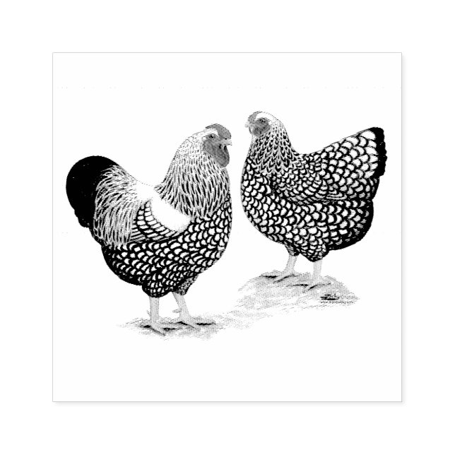 Wyandottes Silver-laced Pair Rubber Stamp (Imprint)