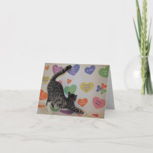 Wyatt The Cat's Conversation Hearts Valentine's Holiday Card
