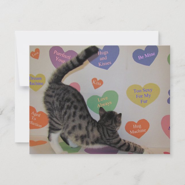 Wyatt's Valentine - Cat / Kitten - Flat Card (Front)