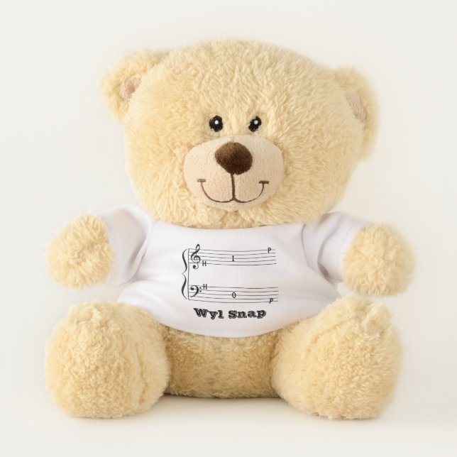 Wyl Snap Teddy Bear (Front)
