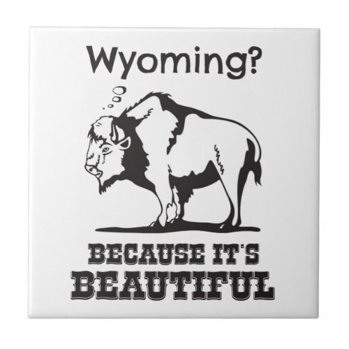 Wyoming Because Its Beautiful Ceramic Tile