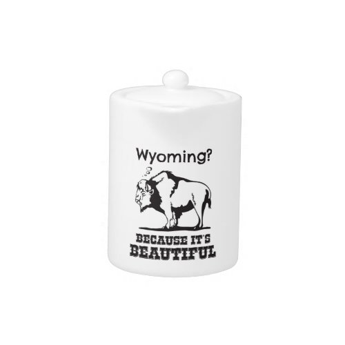 Wyoming Because Its Beautiful Teapot