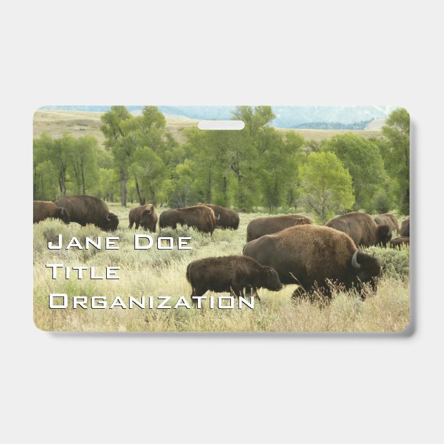 Wyoming Bison Badge (Front)
