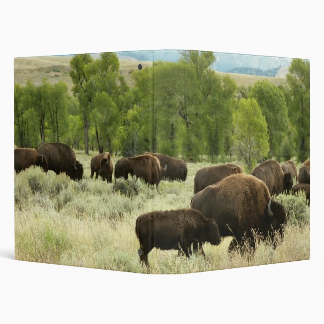 Wyoming Bison Nature Animal Photography 3 Ring Binder (Background)