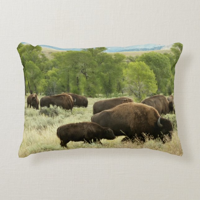 Wyoming Bison Nature Animal Photography Accent Pillow (Front)