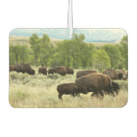 Wyoming Bison Nature Animal Photography Air Freshener