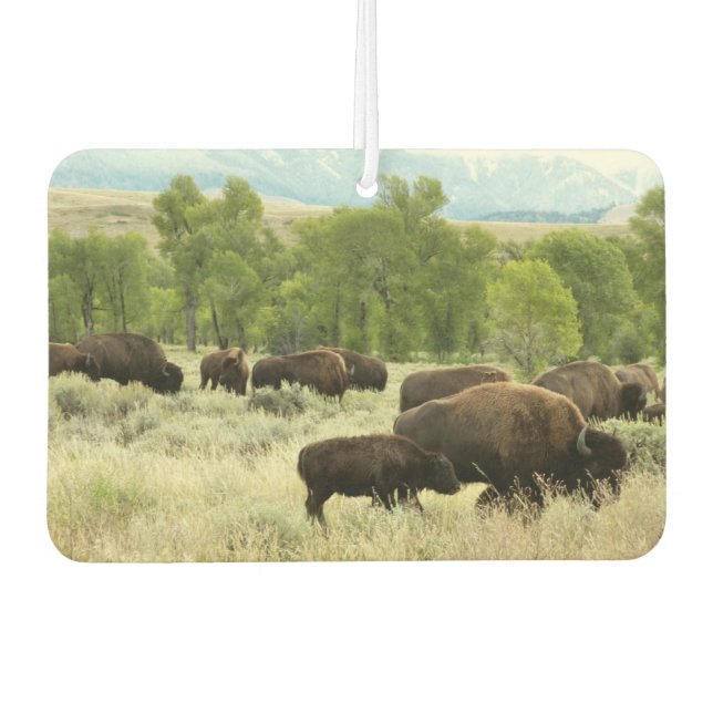 Wyoming Bison Nature Animal Photography Air Freshener (Front)