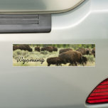 Wyoming Bison Nature Animal Photography Bumper Sticker