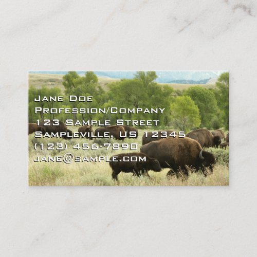 Wyoming Bison Nature Animal Photography Business Card