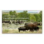 Wyoming Bison Nature Animal Photography Business Card Magnet