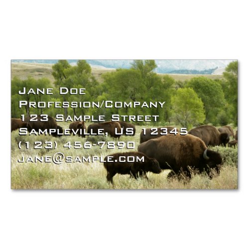 Wyoming Bison Nature Animal Photography Business Card Magnet