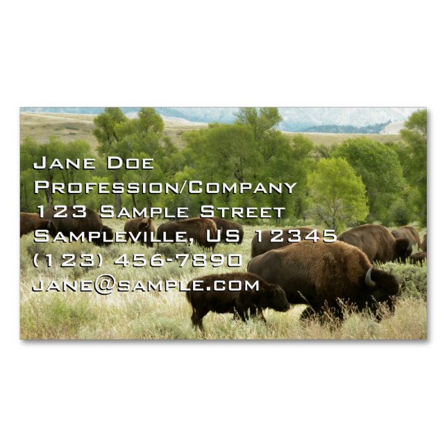 Wyoming Bison Nature Animal Photography Business Card Magnet (Front)